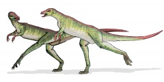 † Lesothosaurus diagnosticus(vor etwa 201,3 bis 174,1 Millionen Jahren)